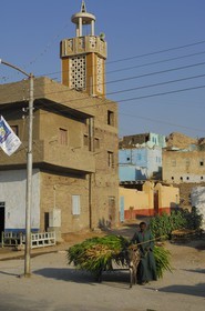 Egypte, Haute Egypte, vallée du Nil, Louxor, la rive ouest, le nouveau village de Gournah