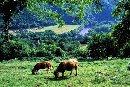 France, Correze, Dordogne river between Argentat and Beaulieu villages