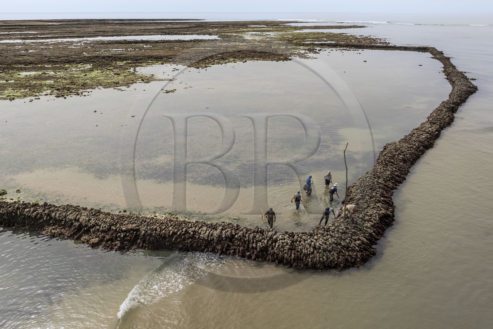 France, Charente Maritime, Oleron island, Saint Georges d'Oléron, Sables Vignier beach at low tide, authorized fishermen consolidating the Basses fish lock (aerial view)