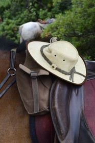 France, Haute Corse, Nebbio, Agriates Desert, horse and saddle