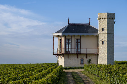 France, Cote d'Or, cultural Landscape of the climates of Burgundy listed as World Heritage by UNESCO, Route des Grands Crus (road of Vintage Wines), vineyard of the Côte de Nuits, Vougeot, luxury accommodation La Folie de Vougeot in the heart of the Clos de Vougeot vineyard