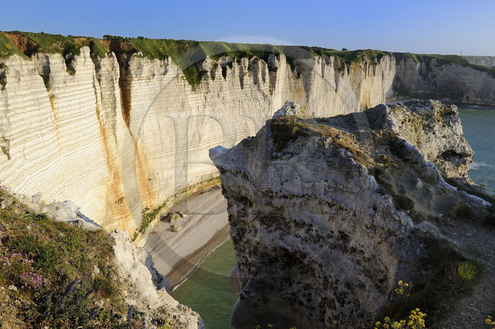 France, Seine-Maritime (76), Pays de Caux, Côte d'Albâtre, Etretat, la falaise au sud de la Manneporte