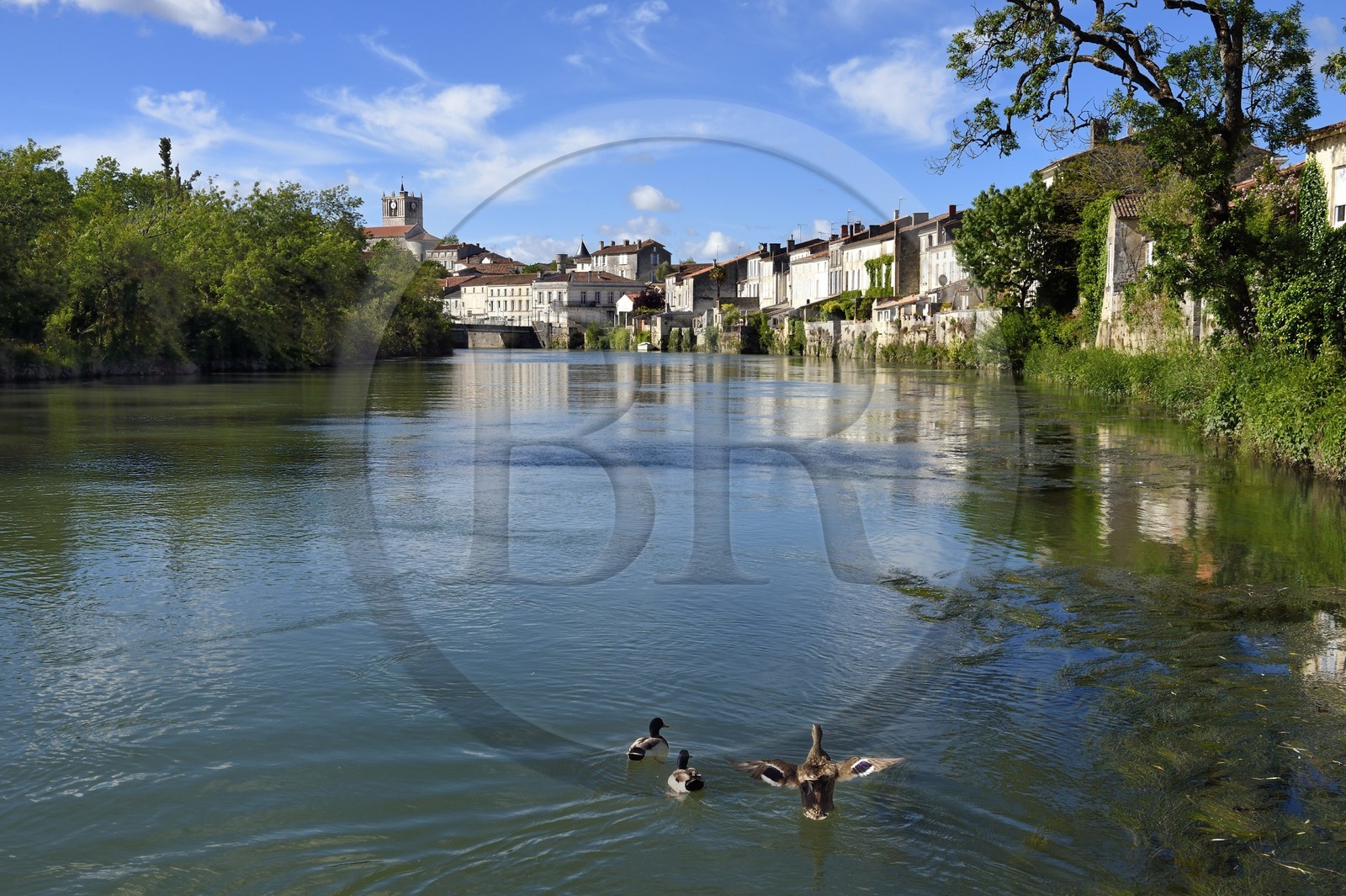 France, Charente-Maritime (17), Saintonge, Saint-Savinien, labellisé Villages de pierres et d'eau, maisons au bord de la Charente