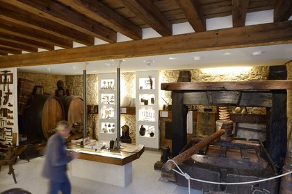 France, Bas Rhin, the Alsace Wine Route, Mittelbergheim, labelled Les Plus Beaux Villages de France (The Most Beautiful Villages of France), the wine-conservatory museum