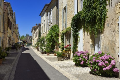 France, Dordogne, Perigord Pourpre, Beaumont du Perigord, rue Ratier