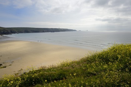 France, Finistere,  Iroise Sea, Plogoff, beach of the Baie des Trepasses and the Pointe du Raz in the background