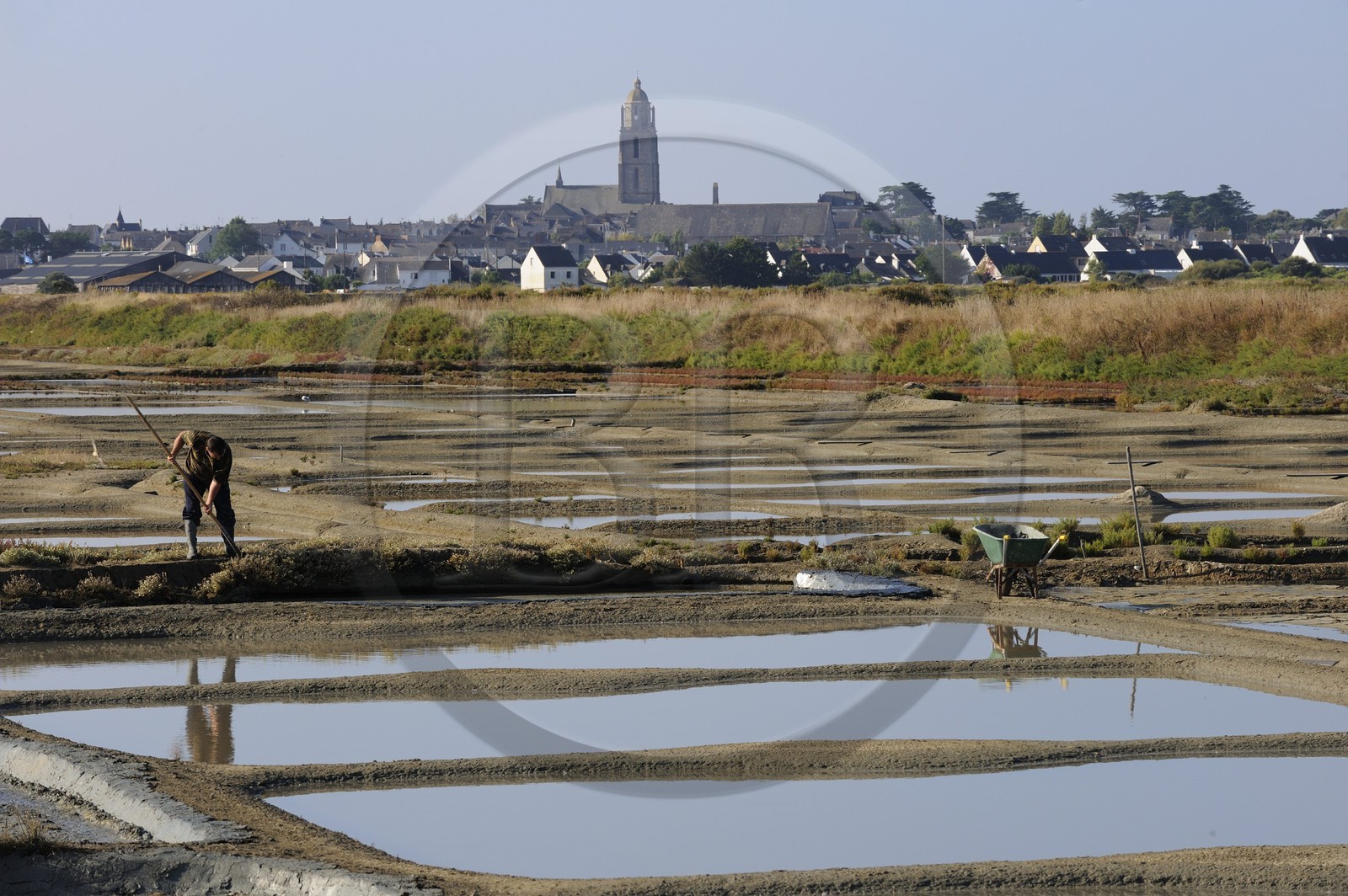 France, Loire-Atlantique (44), la Presqu'île de Guérande, les marais salants à Batz-sur-Mer France, Loire-Atlantique (44), la Presqu'île de Guérande, les marais salants à Batz-sur-Mer
