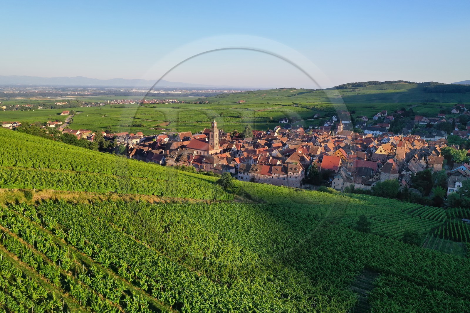 France, Haut-Rhin (68), Route des vins d'Alsace, Riquewihr, labellis