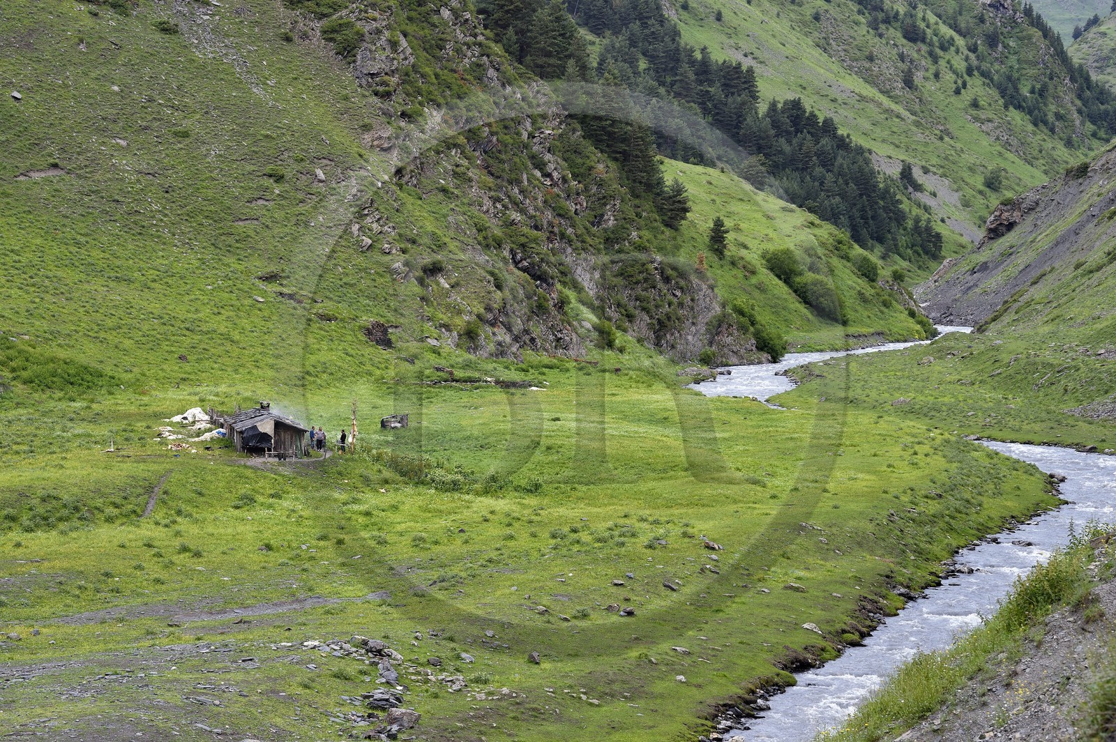 Géorgie, Kakheti, Parc national de Touchétie, vallée de la rivière Alazani dans les montagnes de Pirikiti, campement de bergers