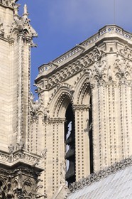 France, Paris (75), Ile de la Cité, cathédrale Notre-Dame de Paris, gargouilles de la tour nord
