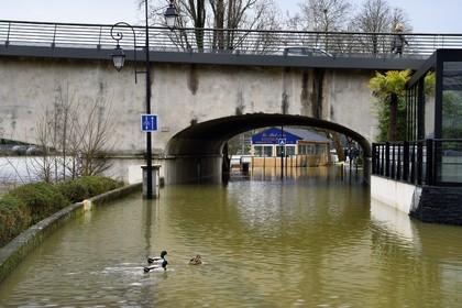 France, Val-de-Marne (94), Le Perreux-sur-Marne, les bords de Marne inondés au pont de Bry