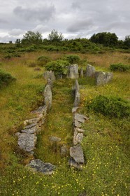 France, Ille-et-Vilaine (35), Saint-Just, monuments mégalithiques de la Lande de Cojoux, dolmen ouest de la Croix Saint Pierre