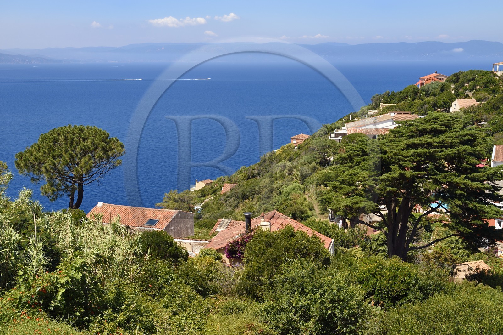 France, Var (83), Iles d'Hyères, Parc national de Port Cros, Ile du Levant, domaine naturiste d'Héliopolis, villas avec vue sur le continent