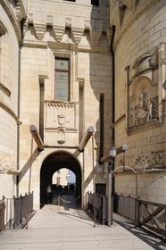 France, Loir et Cher, Loire Valley, listed as World Heritage by UNESCO, Chaumont sur Loire, the castle