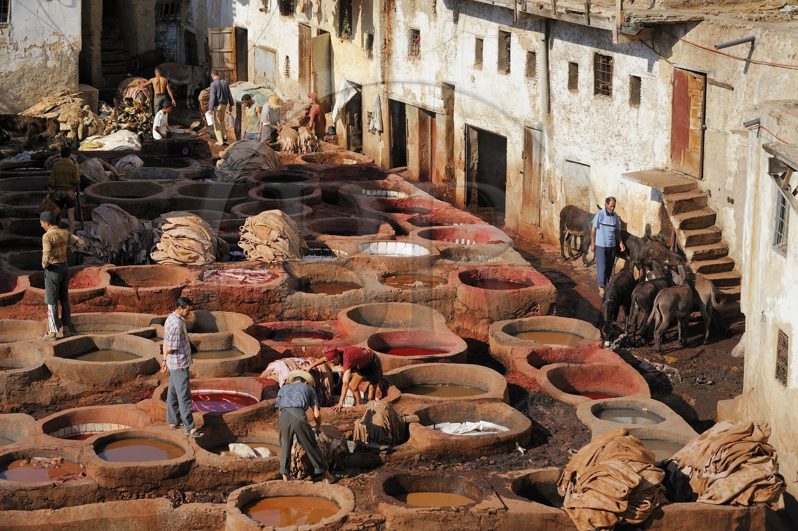 Morocco, Middle Atlas, Fez, Imperial City, Fez El Bali, medina listed as World Heritage by UNESCO, Chouara, tanners of the tannery district