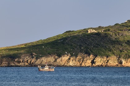 France, Var (83), Iles d'Hyères, parc national de Port Cros, Ile de Port-Cros, bateau de pêche et l'Ile de Bagaud qui est une réserve intégrale en arrière plan