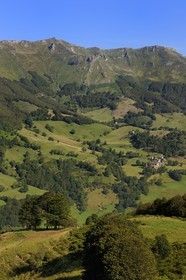 France, Cantal, Monts du Cantal, Parc Naturel Regional des Volcans d' Auvergne (Regional Nature Park of the Volcanoes of Auvergne), the Vallee de la Jordanne (Jordanne Valley) towards Mandaille-Saint-Julien
