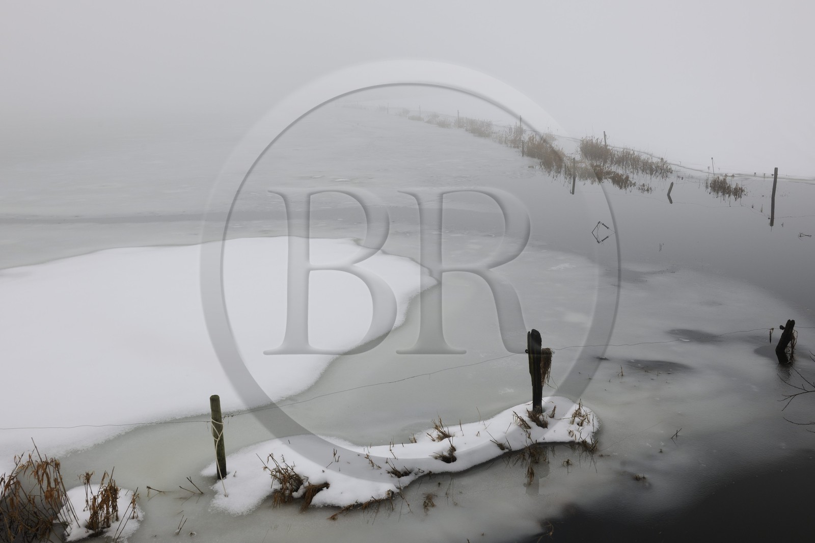 France, Manche (50), Cotentin, marais de la Douve vers Liesville-sur-Douve