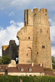 France, Allier (03), ancienne province du Bourbonnais, chateau de Bourbon-l'Archambault du XIIIe siècle