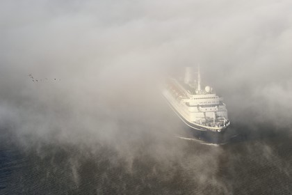 France, Seine Maritime, Le Havre, cruise ship emerges from a sea of clouds and flight of seagulls