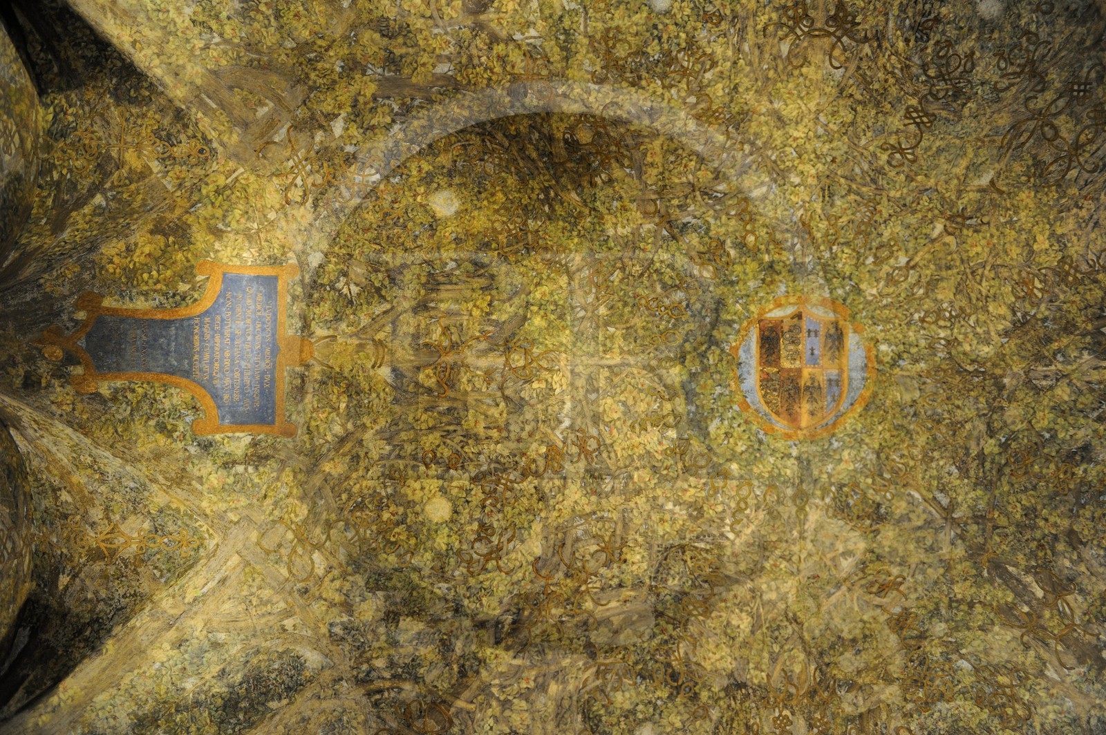 Italie, Lombardie, Milan, le Castello Sforzesco (château des Sforza), Léonard de Vinci a peint l’enchevêtrement de troncs d'arbres du plafond de la Sala delle Asse (1496-1497)