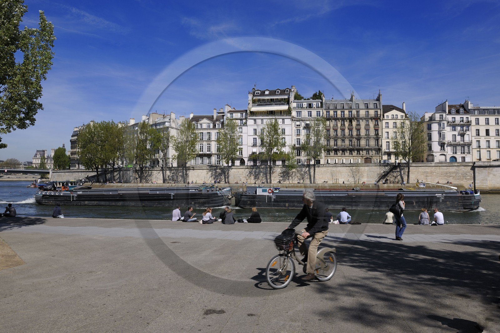 France, Paris (75), les rives de la Seine classées Patrimoine Mondiale de l'UNESCO, Ile Saint-Louis depuis le quai de la Tournelle