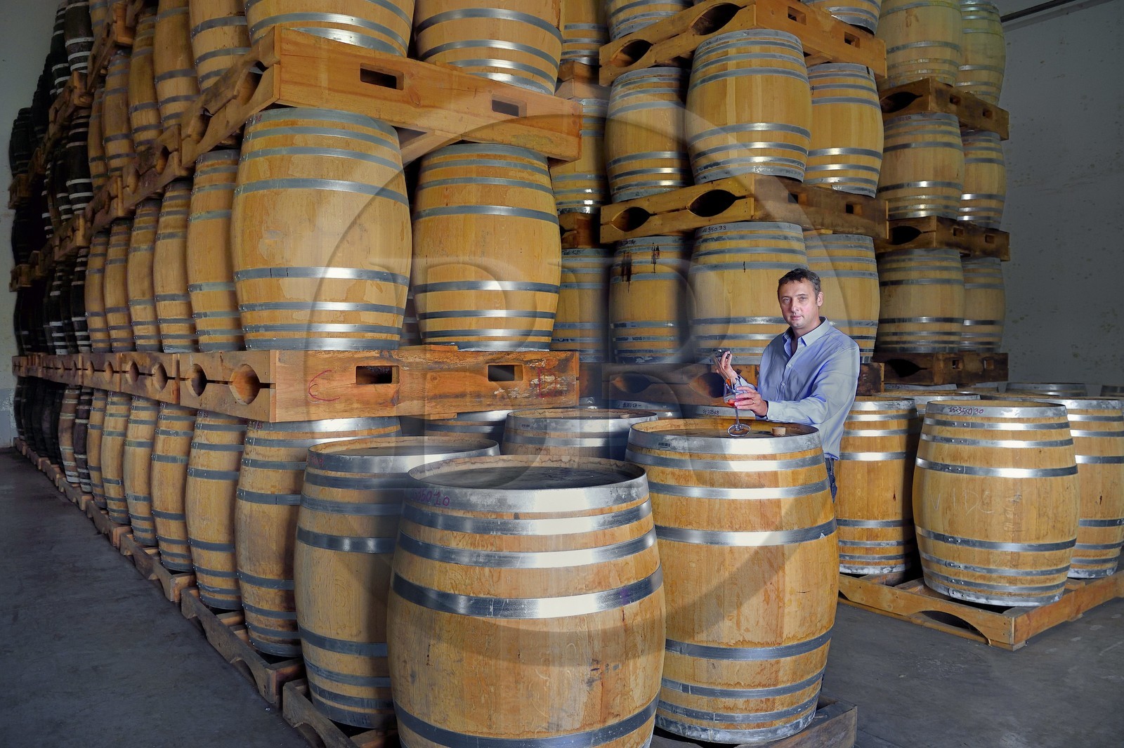 France, Ile de la Reunion, Saint Pierre, domaine de la distillerie Isautier, vieillissement des rhums vieux dans les chais entre 6 et 14 mois en futs neufs puis plusieurs années ensuite par lot en futs roux, Cyril Isautier directeur de la branche rhums et punchs du groupe Isautier fait un prélèvement à la pipette pour une dégustation