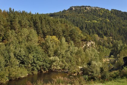 France, Haute Loire, Loire river Valley, Arlempdes, the banks of the Loire river