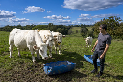 France, Nievre, Regional Natural Park of Morvan, Millay, Les Prairies Gourmandes Farm, Emmanuel Dumas, breeder of Charolais cows