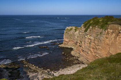 France, Pyrénées-Atlantiques (64), la côte du Pays-Basque, le domaine d'Abbadia géré par le Conservatoire du littoral, falaise de la pointe Kapela