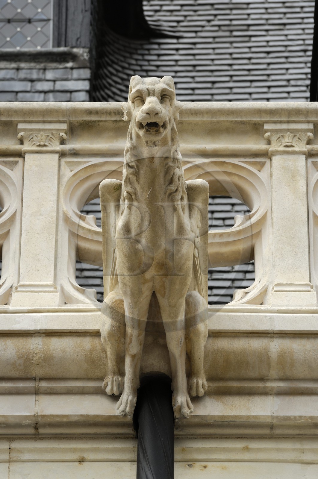 France, Loir et Cher (41), Blois, hôtel d'Alluye rue Saint-Honoré, façade gothico-Renaissance