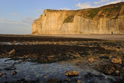 France, Seine-Maritime (76), Côte d'Albâtre, Vattetot-sur-Mer, les falaises et la plage à marée basse
