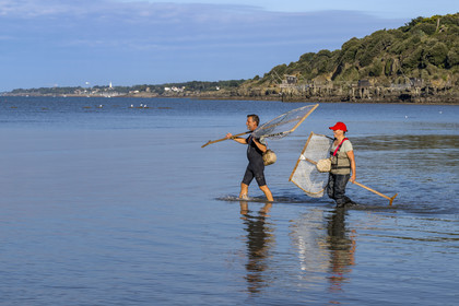 France, Loire-Atlantique (44), Baie de Bourgneuf, Pornic, cabanes de pêche traditionnelle au carrelet en bordure de la plage de Crêve-coeur à La Bernerie-en-Retz, Sedrine et Fred font de la peche à pied de crevettes à l'épuisette