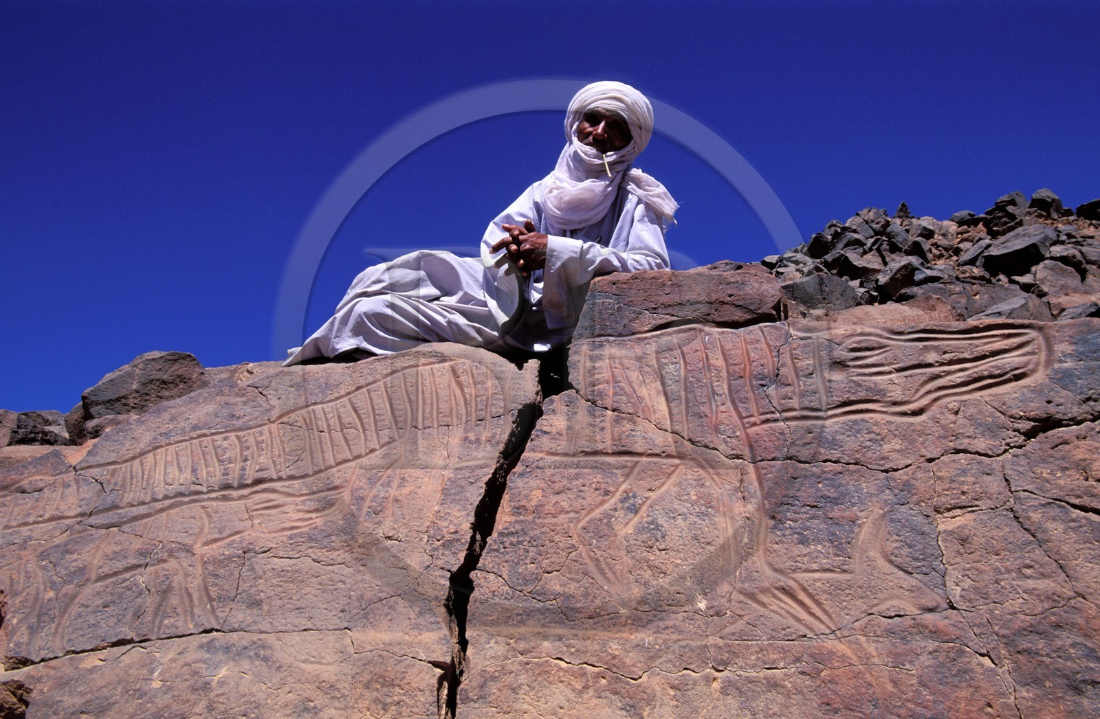 Libye, région du désert, Le Fezzan (Sahara), Messak Setafet, gravures rupestre du Matkhendoush représentant un crocodile Libye, région du désert, Le Fezzan (Sahara), Messak Setafet, gravures rupestre du Matkhendoush représentant un crocodile