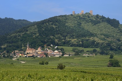 France, Haut Rhin, the Alsace Wine Route, Husseren les Chateaux west of Eguisheim