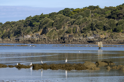 France, Loire-Atlantique (44), Baie de Bourgneuf, Pornic, cabanes de pêche traditionnelle au carrelet en bordure de la plage de Crêve-coeur à La Bernerie-en-Retz, pecheurs à pied de crevettes à l'épuisette