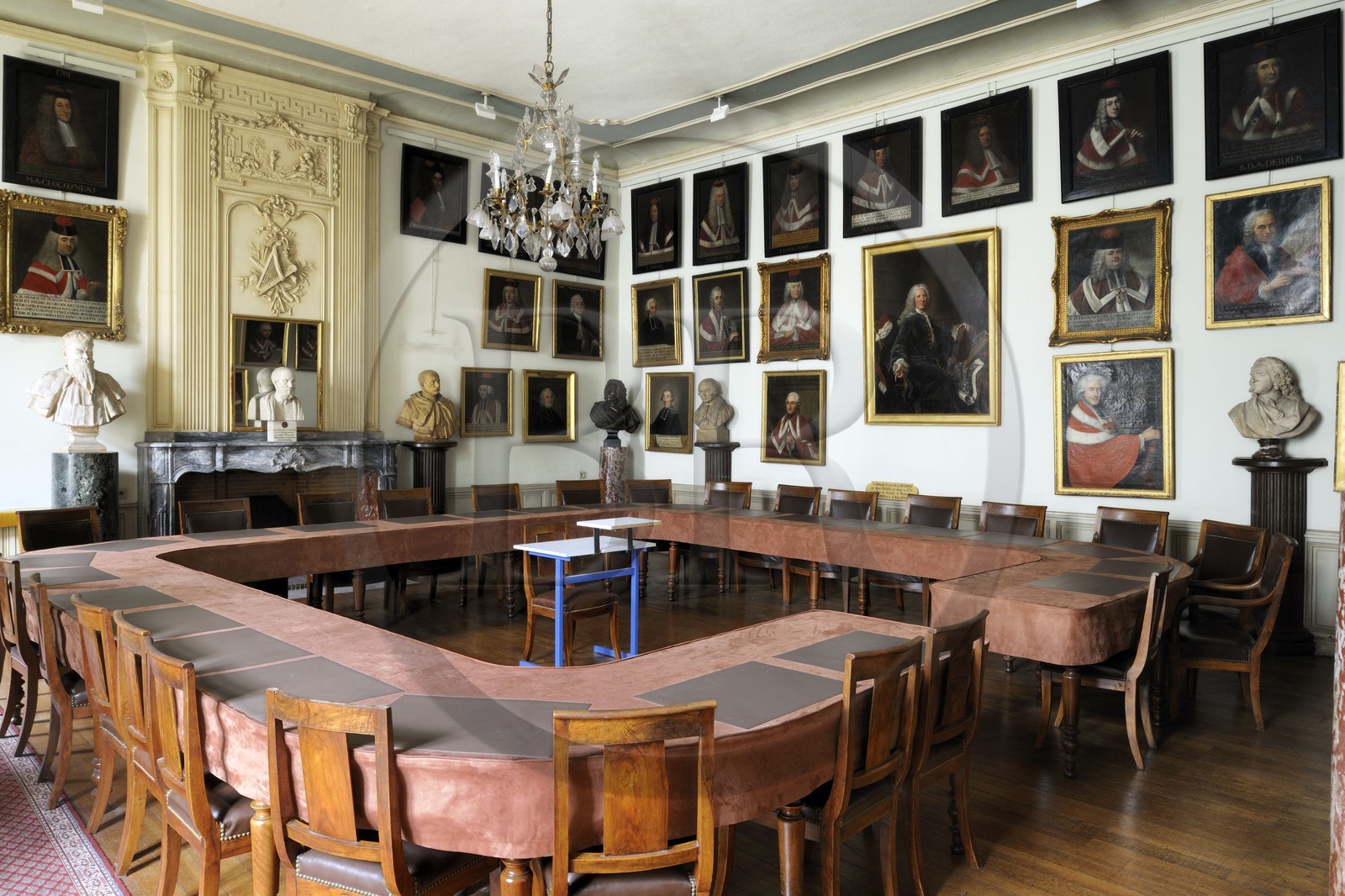 France, Hérault (34), Montpellier, centre historique, faculté de médecine, la salle du Conseil