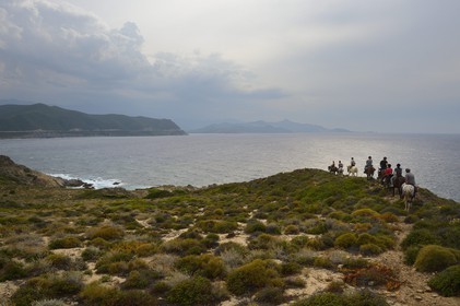 France, Haute Corse, Nebbio, Agriates Desert, Peraiola Cove, riders on the North-East of Ostriconi beach on the Punta di l’Acciolu (Acciola)