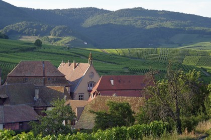 France, Haut-Rhin (68), Route des vins d'Alsace, Hunawihr, labellisé Les Plus Beaux Villages de France