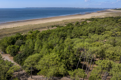 France, Loire-Atlantique (44), Saint-Brévin-Les-Pins, forêt de la Pierre Attelée (vue aérienne)