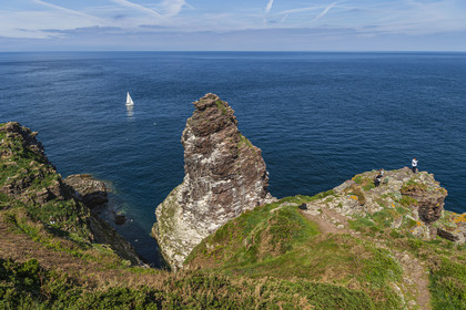 France, Ille-et-Vilaine (35), Côte d'Emeraude, Plévenon, le Cap Fréhel classé Natura 2000, rocher en grès de la Fauconnière où cohabitent des milliers d'oiseaux