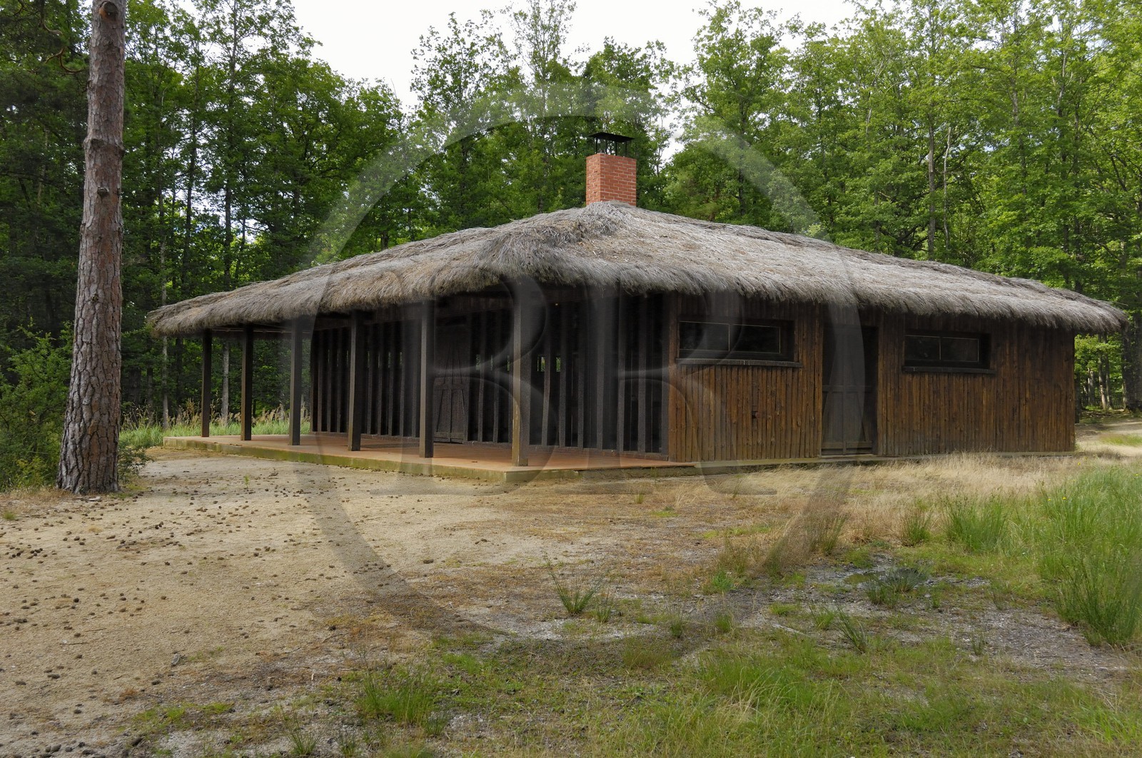 France, Loire et Cher, étang dans le domaine du château de Chambord France, Loire et Cher, étang dans le domaine du château de Chambord