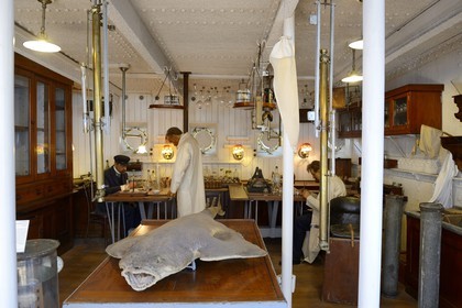 Principauté de Monaco, Monaco, le musée océanographique, la Salle Albert Ier évoque le parcours scientifique du Prince Albert Ier de Monaco fondateur du musée, laboratoire du bateau l'Hirondelle II