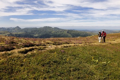 France, Cantal (15), monts du Cantal, Parc Naturel Régional des Volcans d' Auvergne, randonneurs au sommet du Plomb du Cantal (1855m)