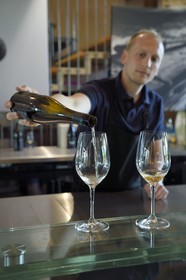 France, Bas Rhin, the Alsace Wine Route, Scherwiller, biodynamic wine estate Achillée, Thomas Schrutt is in charge of the cellar