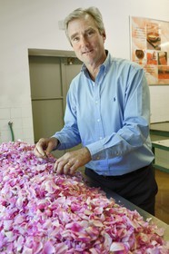 France, Alpes-Maritimes, Pont du Loup at Tourrettes-sur-Loup, Confiserie Florian, its director Frederic Fuchs, sorting works of rose petals