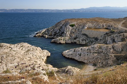 France, Bouches-du-Rhône (13), Marseille, Parc National des Calanques, Archipel des Iles du Frioul, Ile Ratonneau, calanque de l'Eoube