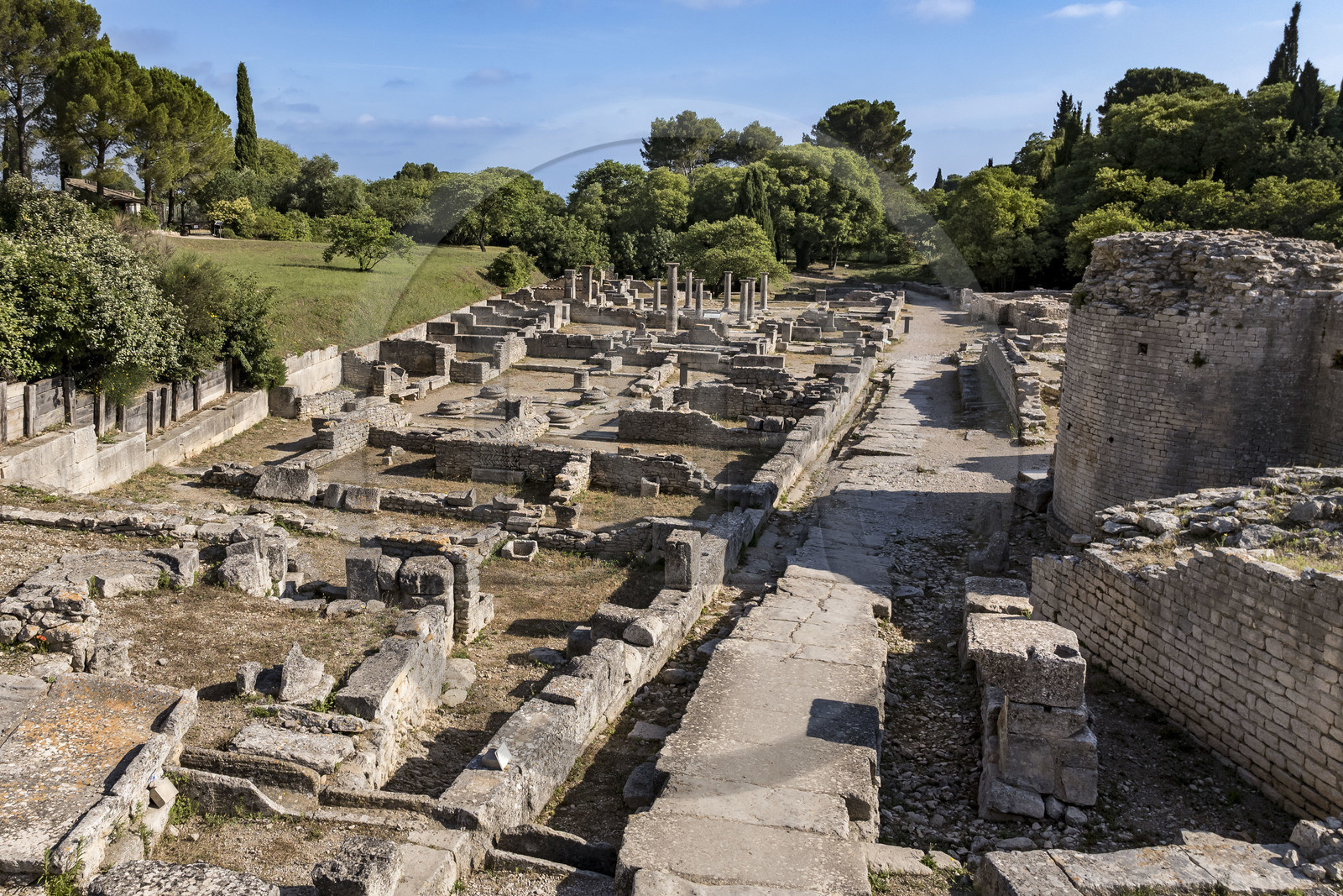 France, Bouches du Rhone, Regional Natural Park of the Alpilles, Saint Remy de Provence, site archéologique de Glanum, the main street (aerial view)