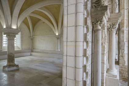 France, Yonne, Auxerre, Saint Germain Abbey, the chapter house of the cloister and its 12th century wall found after the reconstruction at the end of the 17th century
