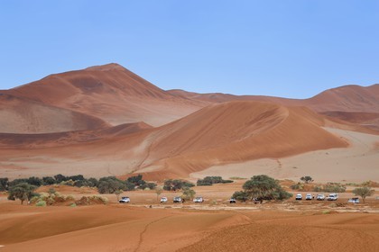 Namibie, région d'Hardap, désert du Namib, parc national du Namib-Naukluft, Erg du Namib classé Patrimoine Mondial de l'UNESCO, dunes de Sossusvlei, la dune Big Mamma